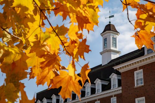 Maple tree leaves frame the south cupola of the Illini Union.