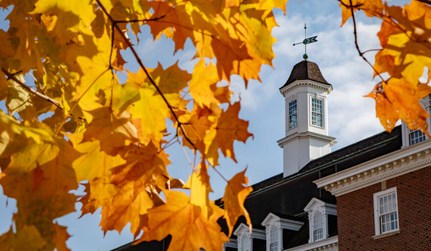 Maple tree leaves frame the south cupola of the Illini Union.