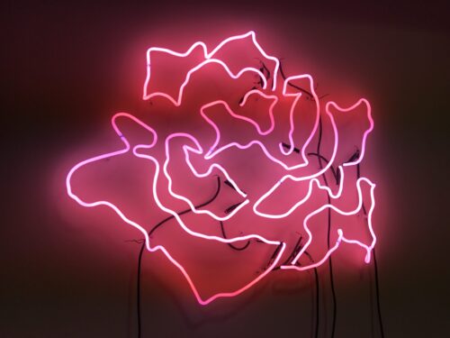 Pulse Neon art installation