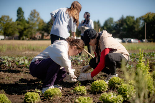 students working at Sola Gratia Farms