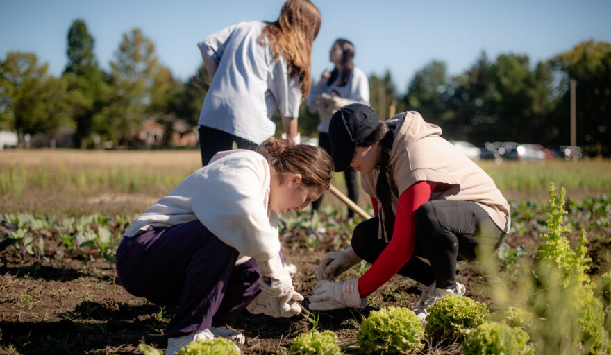 students working at Sola Gratia Farms