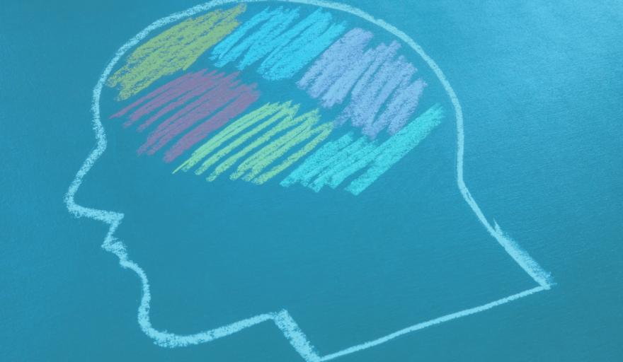 Chalk drawing of a head with multiple colors representing the brain