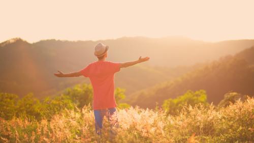 The back of a man standing in a field with his arms open wide towards the sun.