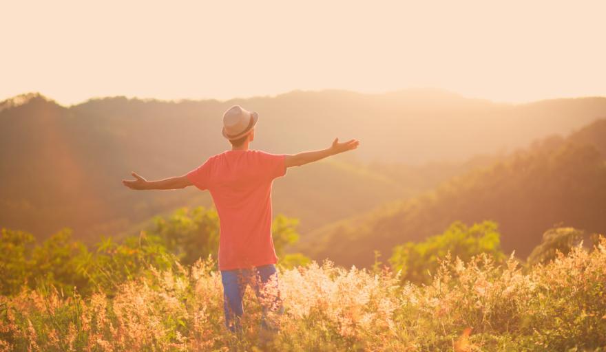 The back of a man standing in a field with his arms open wide towards the sun.